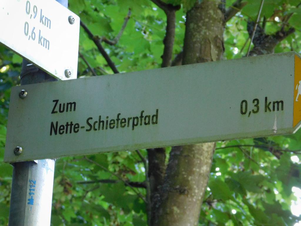 Ferienwohnung Schmitz Welling 외부 사진
